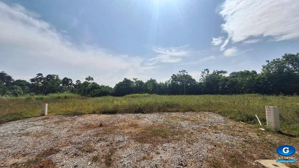 grand Terrain 1105 m² St Laurent du Maroni